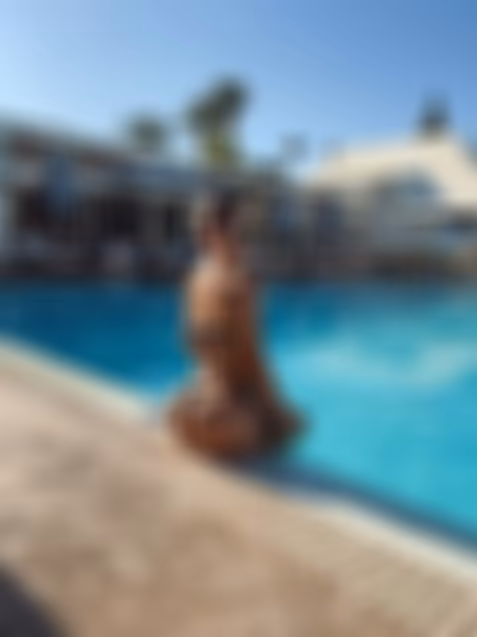 Daniella dating european guys