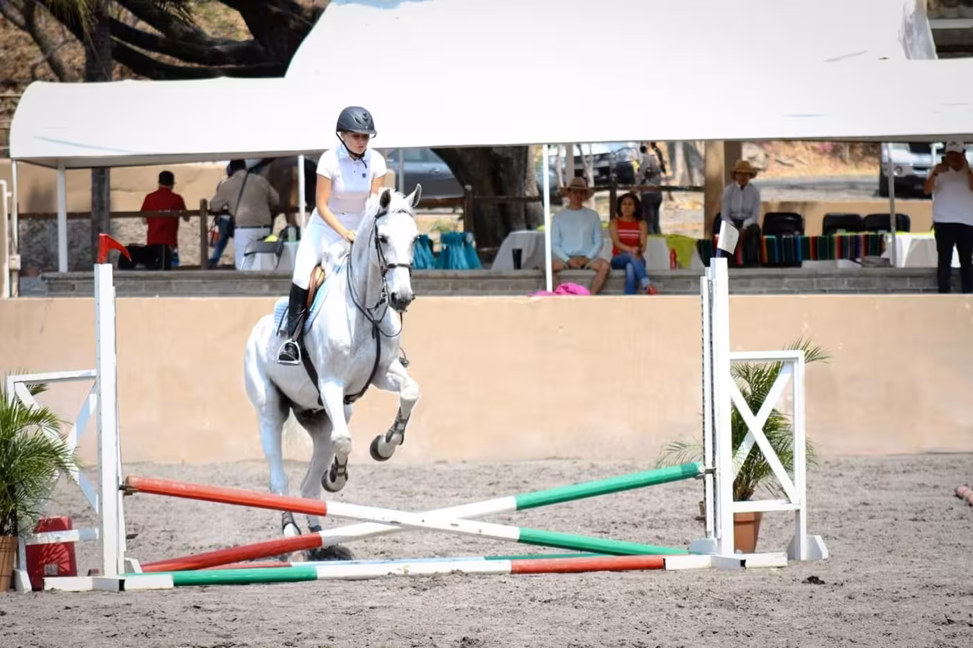 Viktoria dating in czech republic