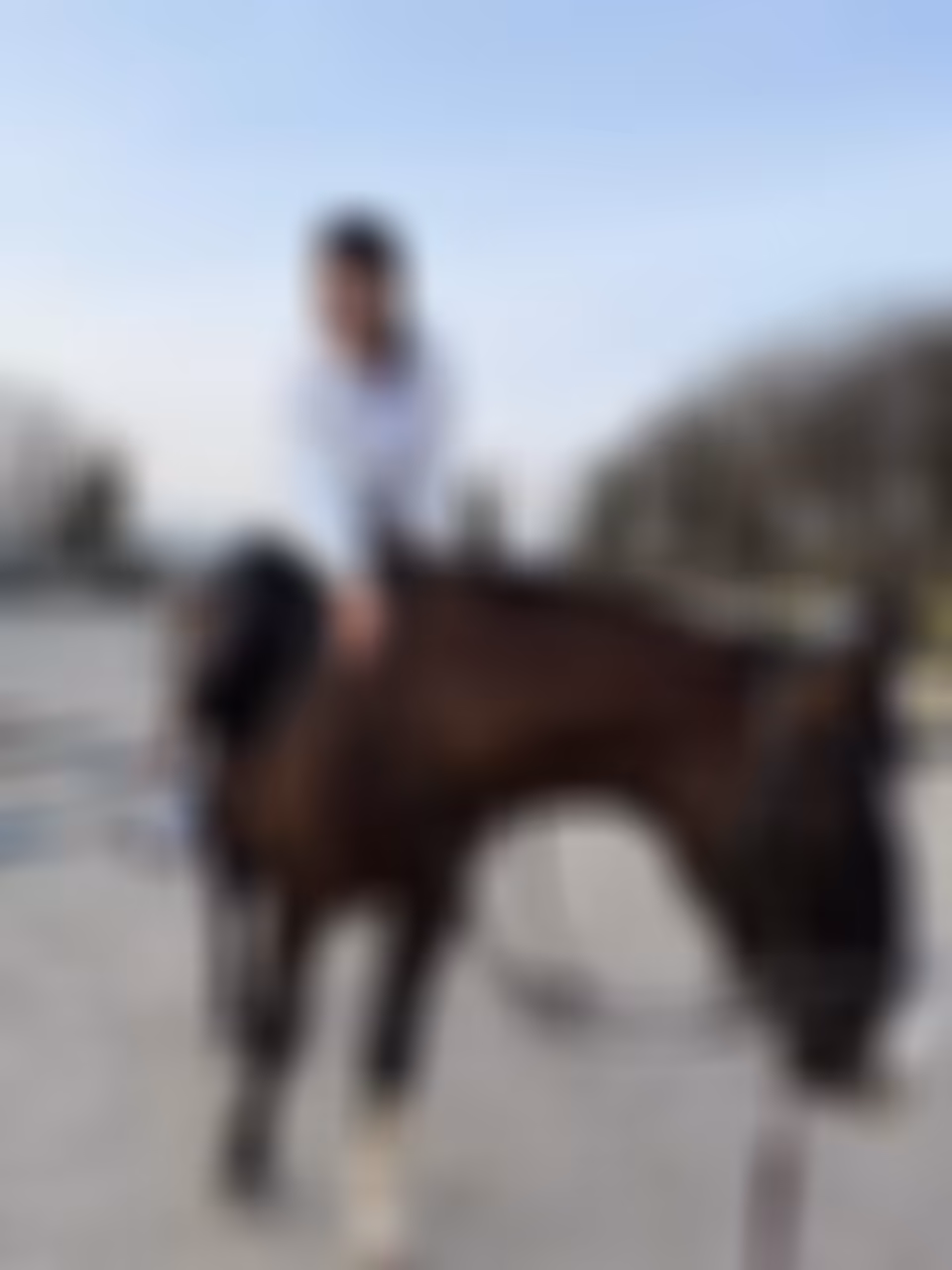 Maria a foreign bride