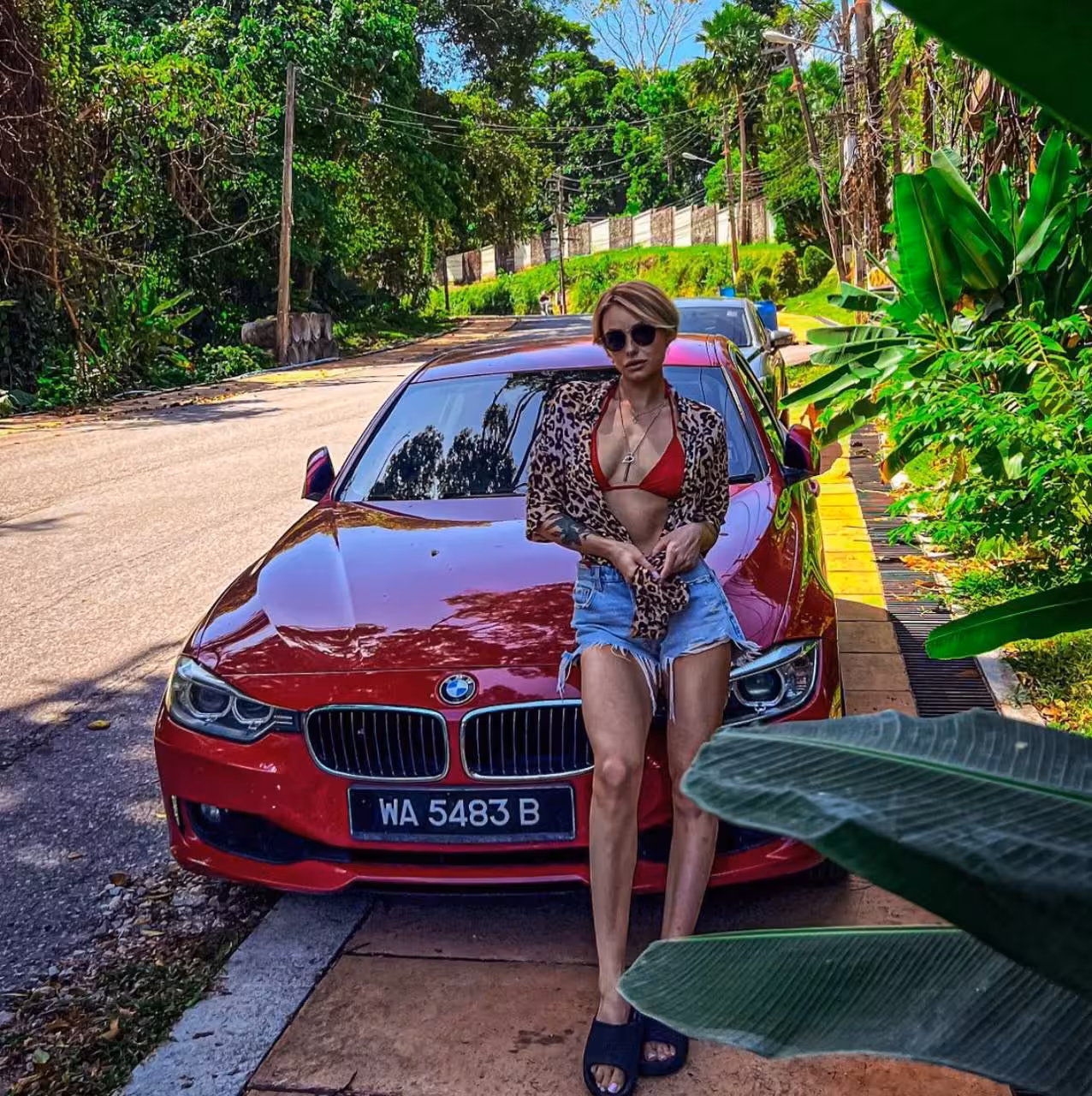 Sofia foreign forest corpse bride lyrics